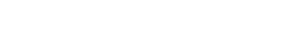 Driver's Lesson Logo